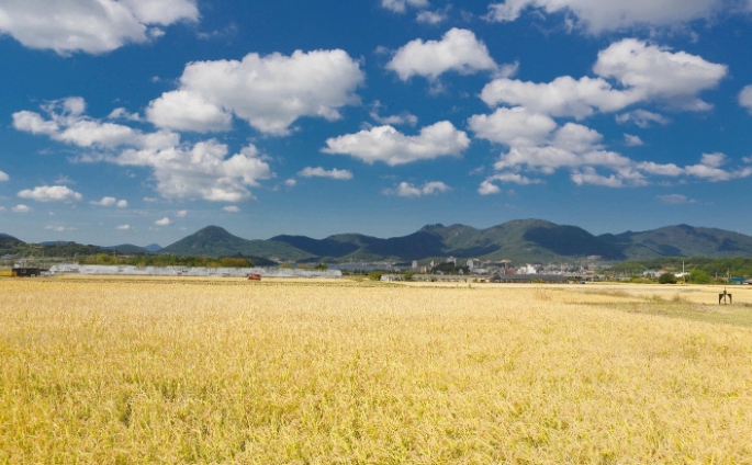 순천시, 1만 5,343농가에 ‘기본형 공익직불금’ 197억원 지급