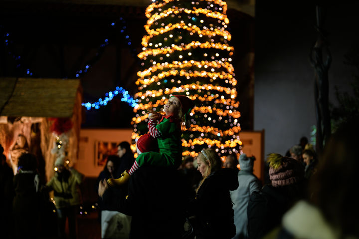 크리스마스·새해 앞두고…튀르키예서 테러 모의 115명 체포