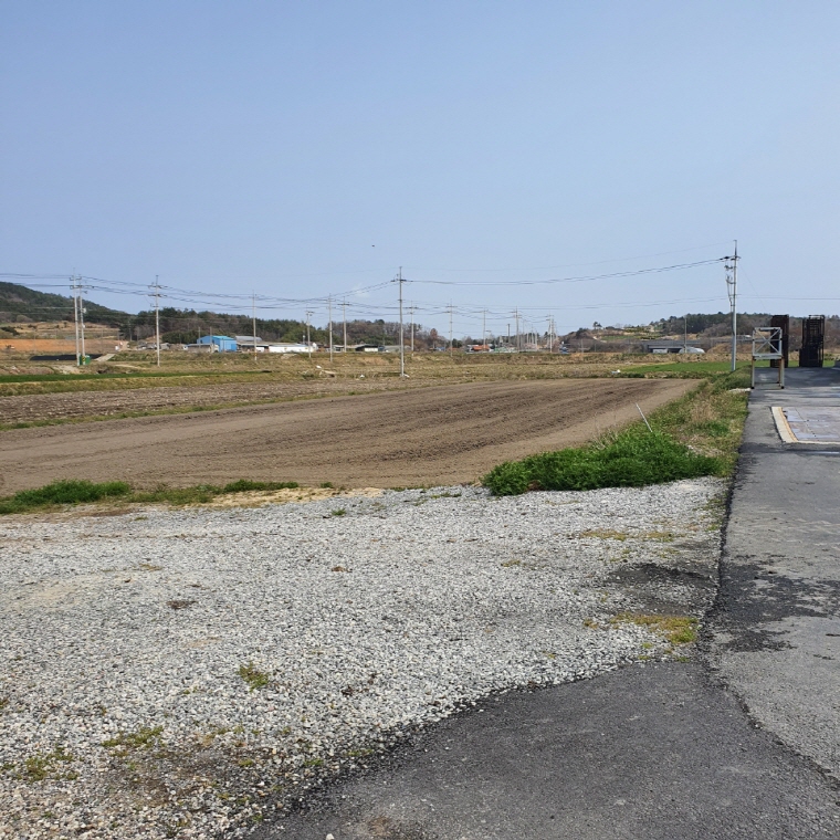 함평 H영농조합 양파폐기물 7여톤 불법 투기