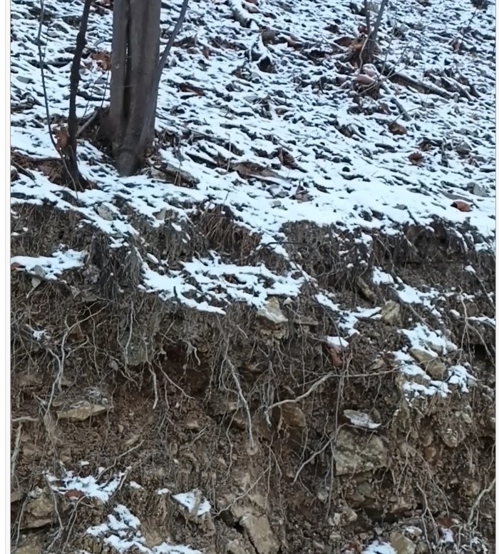 담양 남도명품길, 관리 부실과 불투명 행정 논란…시민 안전 위협