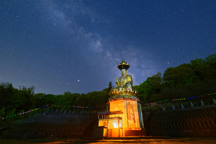스마트폰 대신 숲, 사찰, 그리고 명상 … 템플스테이로 새해 디톡스