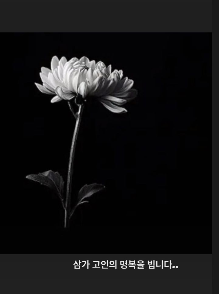 김호영, 안성기 추모…