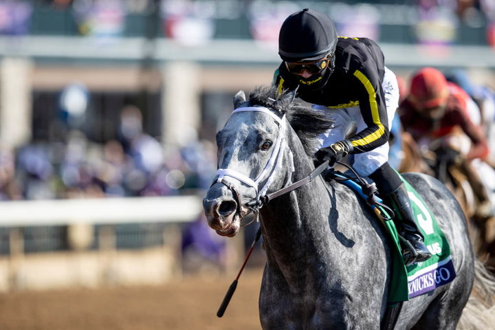 혈통이 역사를 만든다…제2의 '메니피' 꿈꾸는 '닉스고’