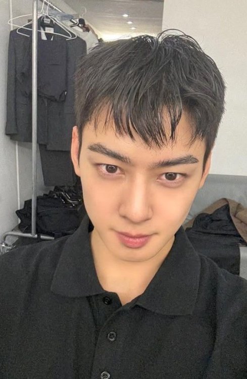 "차은우 200억 탈세 의혹, 법인 썼어도 개인소득" 변호사 직격