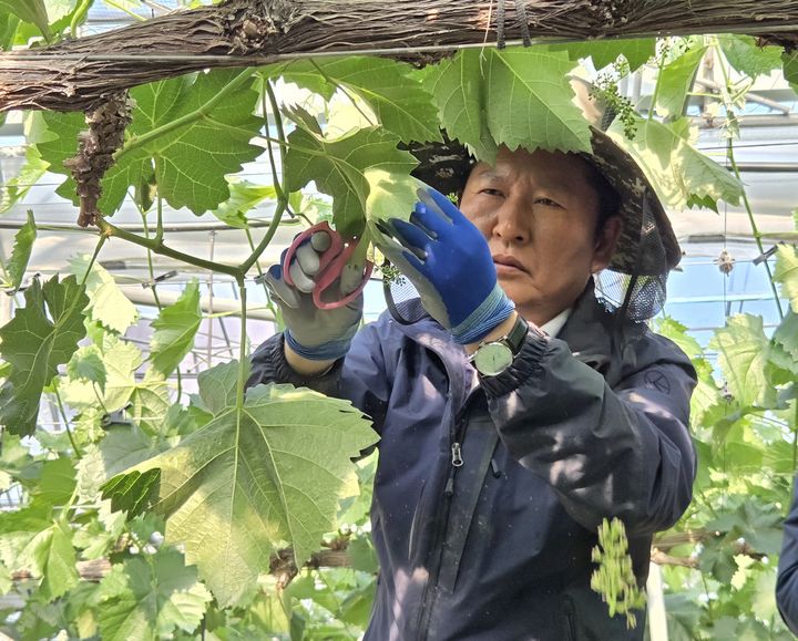 정청래 "하정우 靑 AI수석, 조만간 보궐선거 출마 공식 요청할 것"