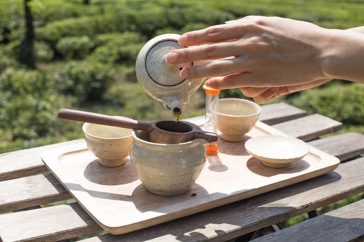 "봄철 재채기 멈춘다?"…日 연구진 "말차, 알레르기 증상 완화 가능"