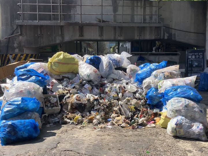 먹다 남은 치킨·라면 그대로…배달 용기에 멍드는 한강공원[출동! 인턴]