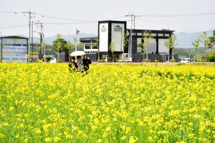 대기 건조하고 일교차 커…남해안 등 소나기[오늘날씨]